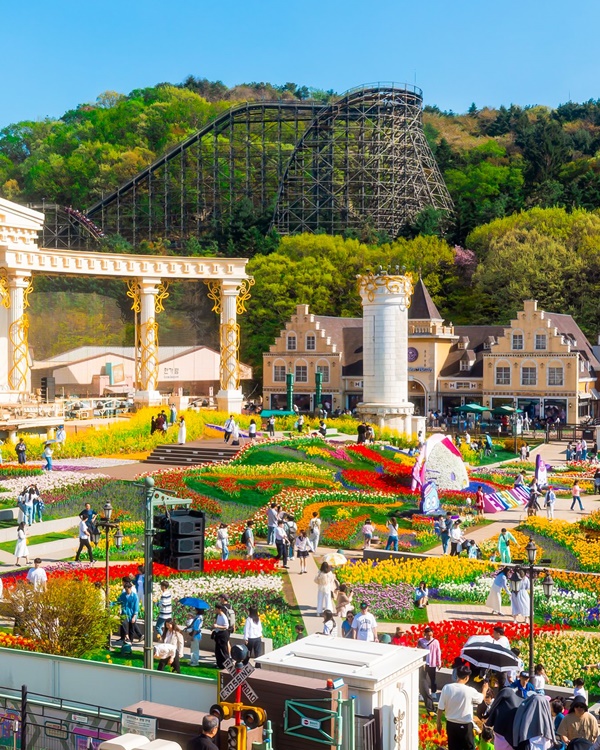 ���� ƫ�� ������ 3��