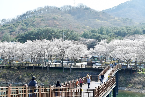 ���� ���� ���� ����