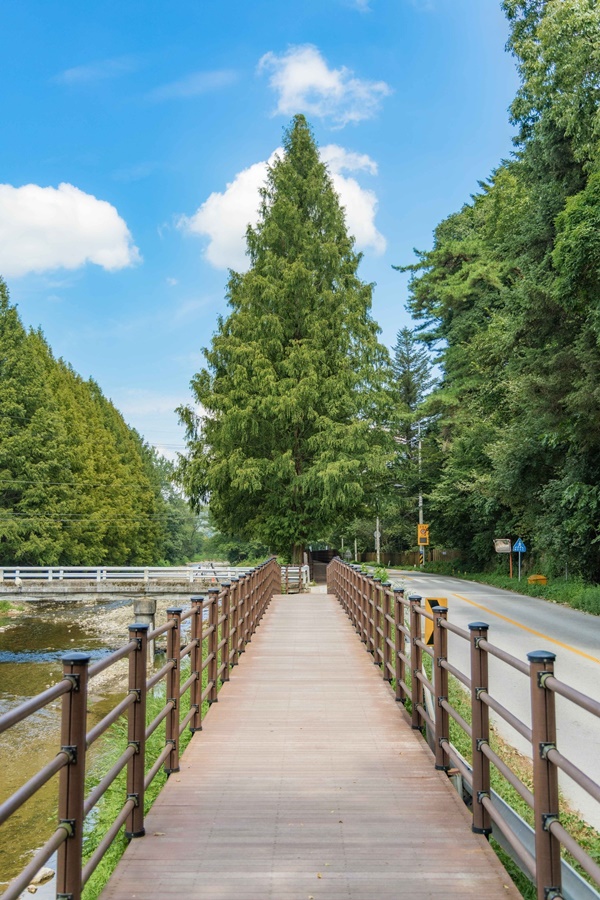 ����ġ�� ���� ������ ���� ���� ������