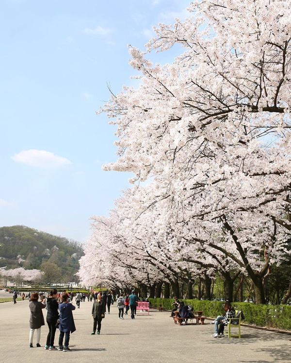 2026 ¼¿ï´ë°ø¿ø º½²ÉÃàÁ¦