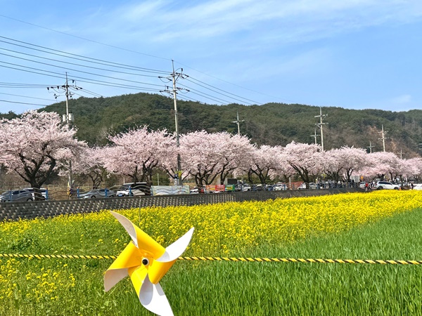 ��ô �͹� ��ä�� ����