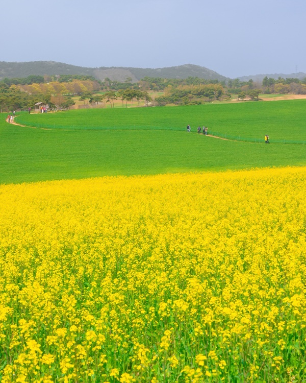 û������ ������ ���ƿ�