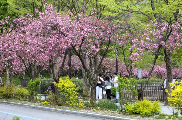 ���� ��° ������ ����, �������� �㺢��