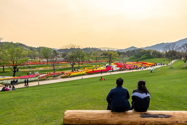 ������ ��õ�� �������� ����