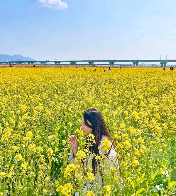 �������°��� ��ä��