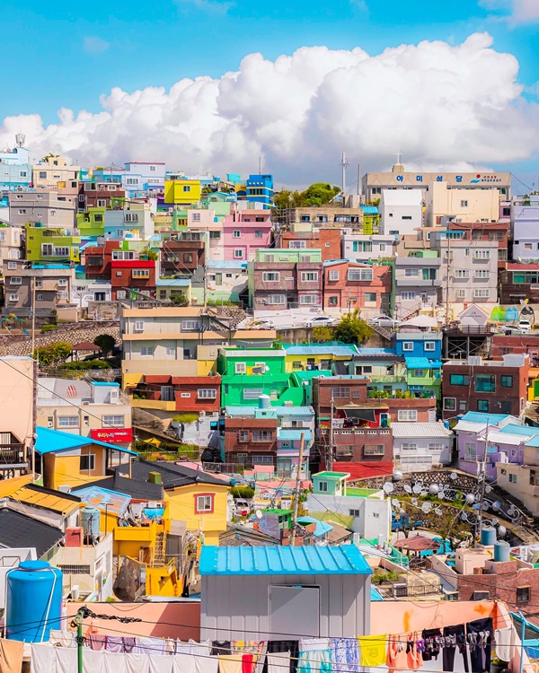 �λ� ��Ʈ�ο��� �ڽ�