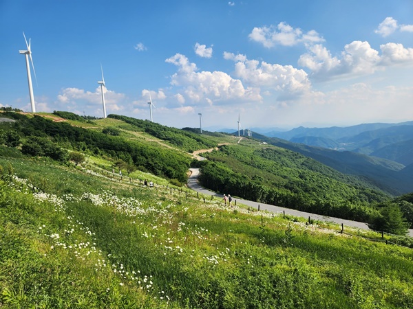 ��â ���鸶����