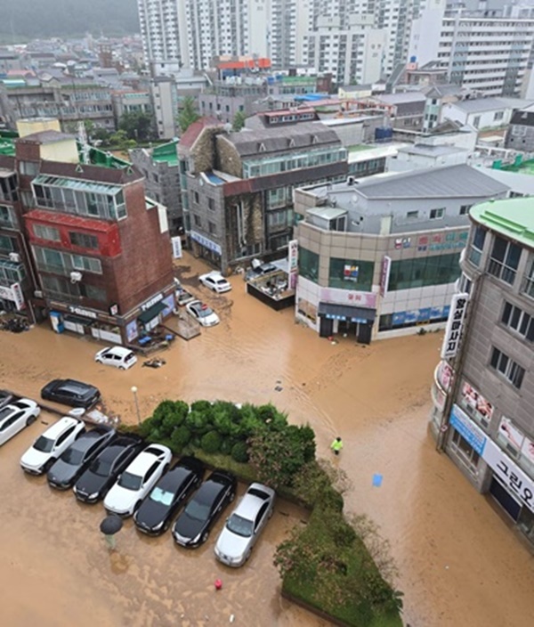 �泲 ���� �������  ����