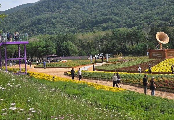 2026 인제 가을꽃축제 개막
