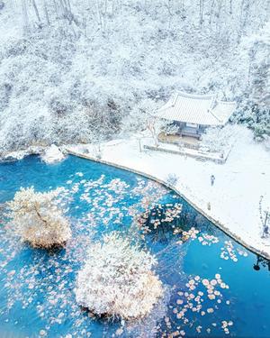 ������ �ѿ��� ������ ������ �ܿ� ǳ��