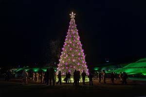 ũ�������� ��Ÿ���翡�� ������!