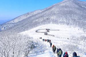 �ܿ� ��������� ������ ����