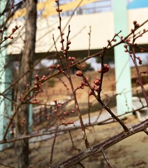 ��ȭ(����) �߾�(ۡ�)