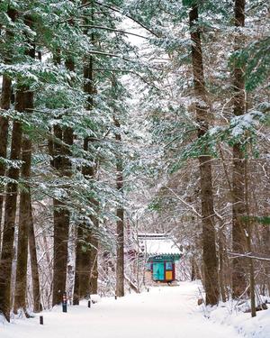 �Ƹ��ٿ� �ܿ� ����