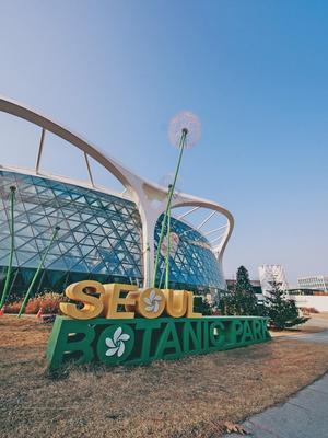 ����Ĺ������� �� ���޸�