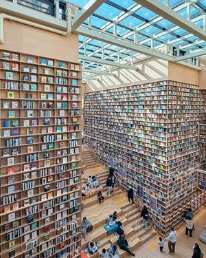 �۵�����������