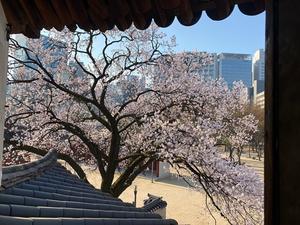 ������ �ֿ� ���� ���� Ư������