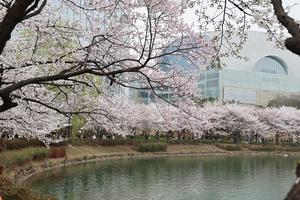 ���� ����