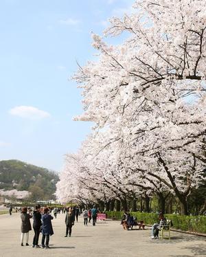 2026 �������� ��������